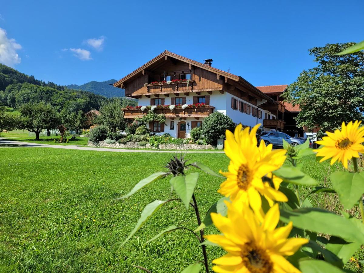 Hoderhof Apartamento Grassau  Exterior foto